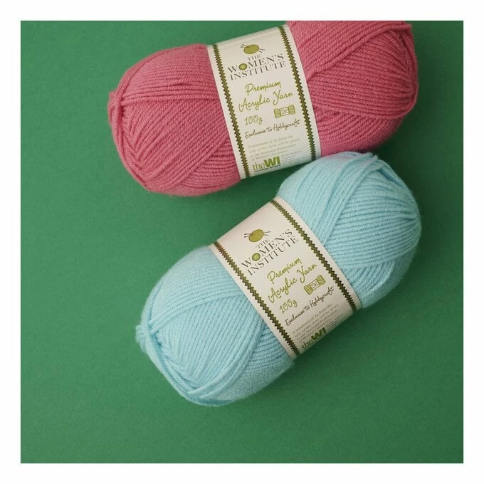 Brand new ???? The WI ???? Women's Institute Soft Blue Premium Acrylic Yarn 100g ???? - Image 3